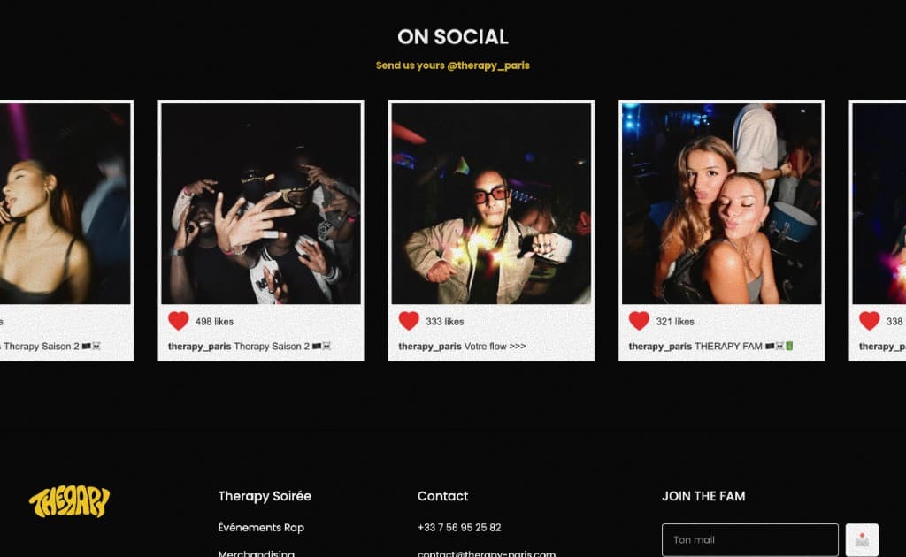 Therapy — Site web
